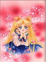 SailorMoon0119
