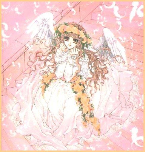 XClamp016