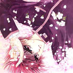 XClamp019